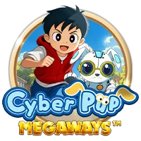 pp image